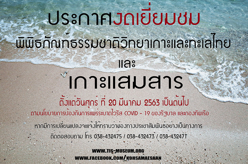 ทะเลชลบุรี