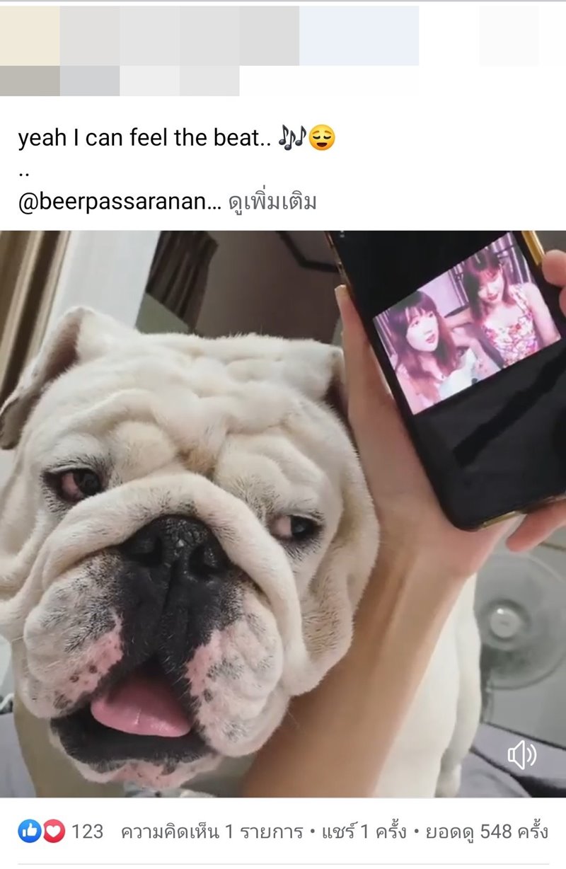 เบียร์ เดอะวอยซ์ แฟนเก่า