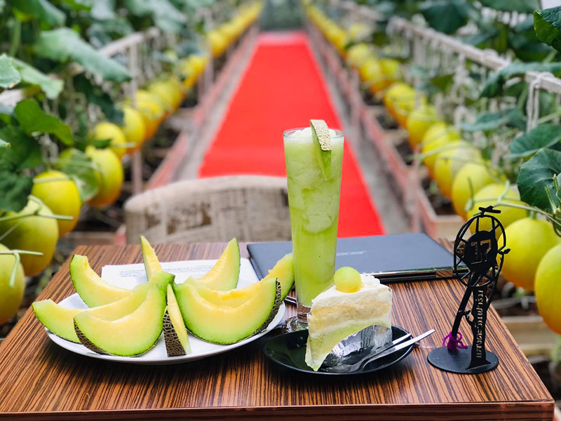 ร้านคาเฟ่สวนผลไม้