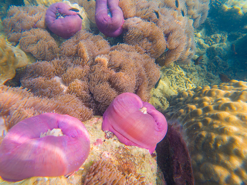 เที่ยวเดือนมีนาคม 66