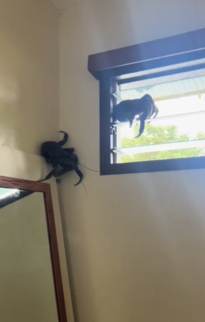 เข้าห้องน้ำ