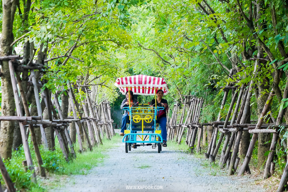 สวนเยาวพา ร้านหน้าต่างเขียว ที่เที่ยวศรีราชา
