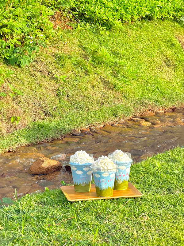 ร้านคาเฟ่หน้าฝน