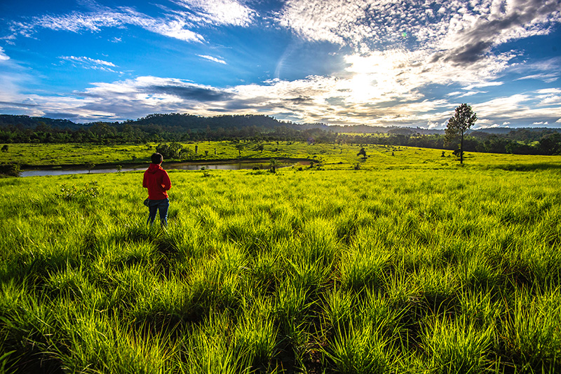 ทุ่งหญ้าสีเขียว ที่เที่ยวหน้าฝน 2568 ทุ่งแสลงหลวง