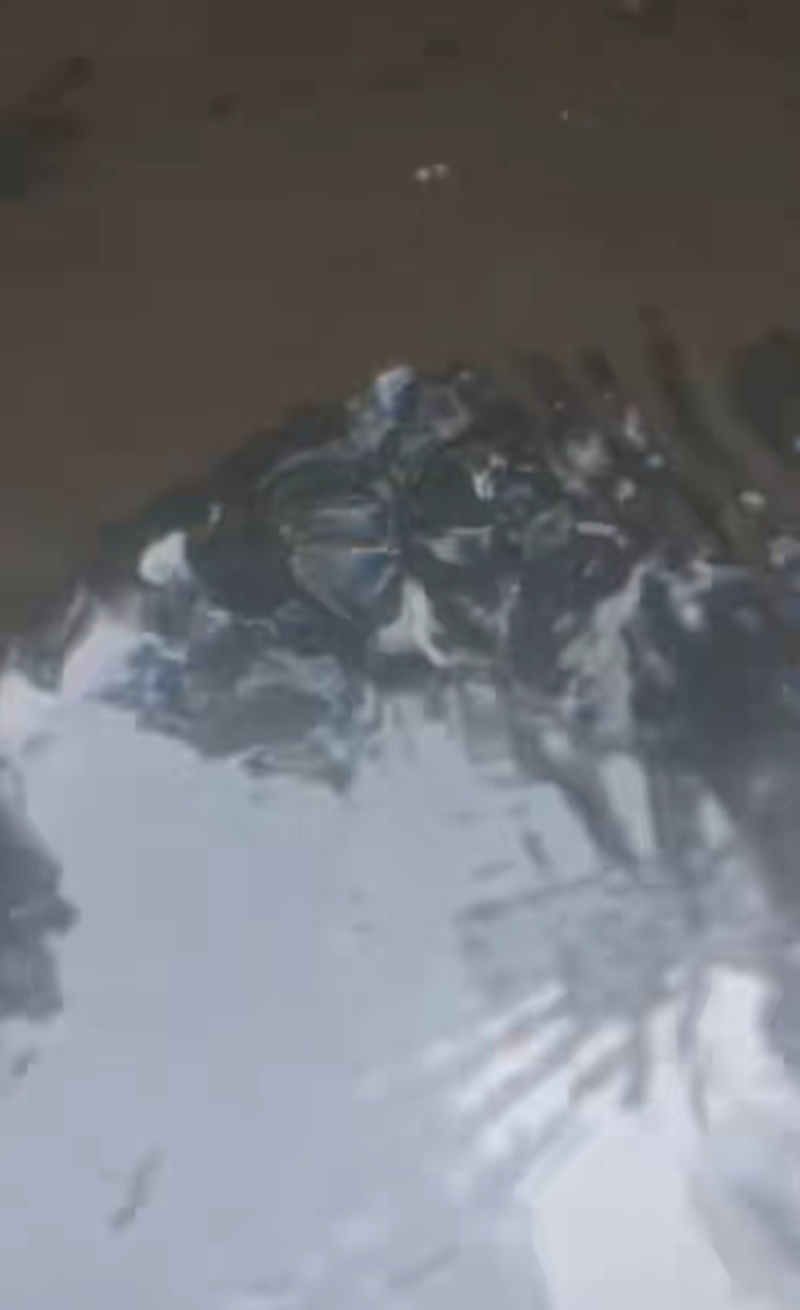 นักท่องเที่ยว