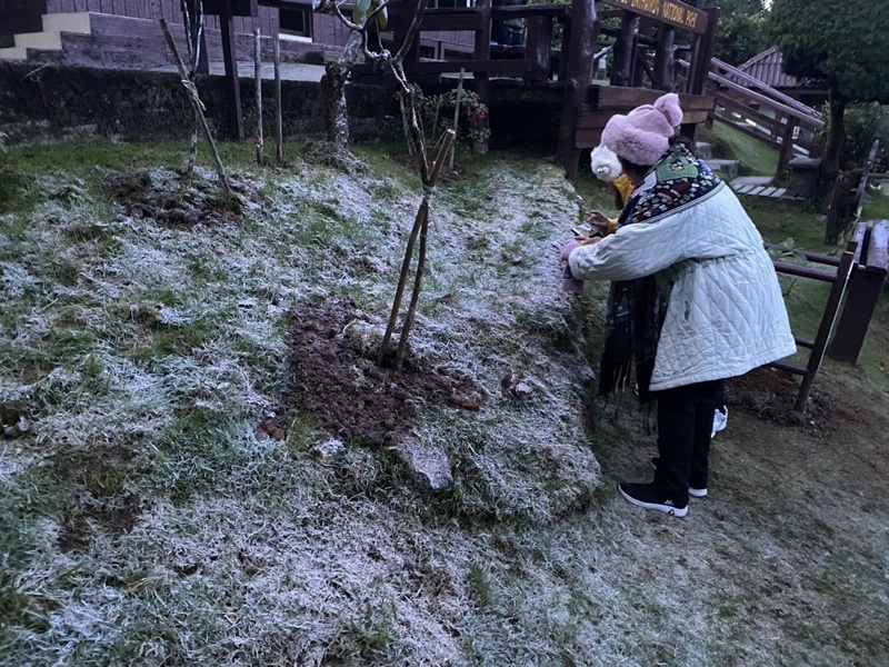 เหมยขาบ