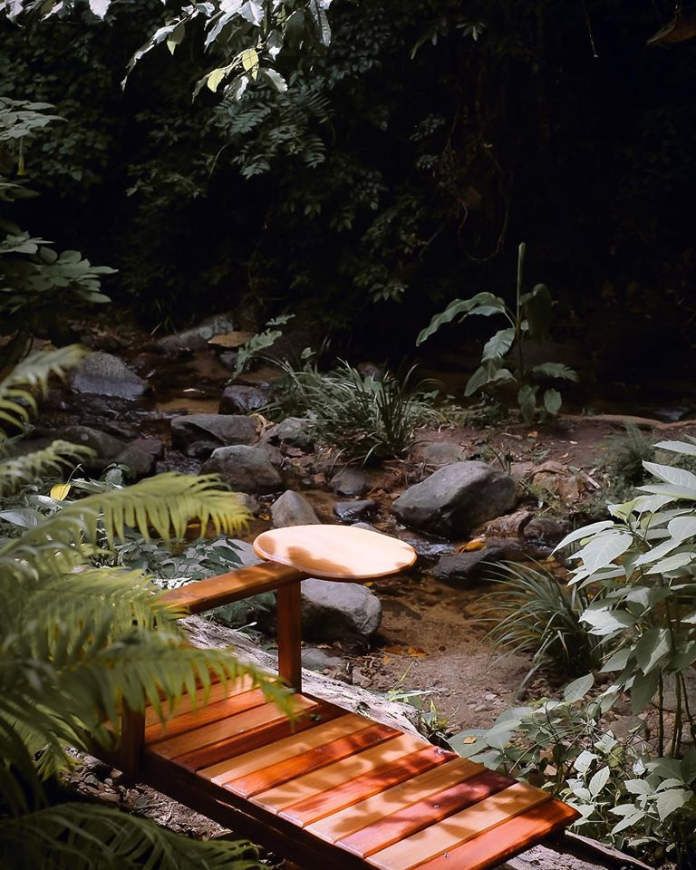 คาเฟ่ในป่า