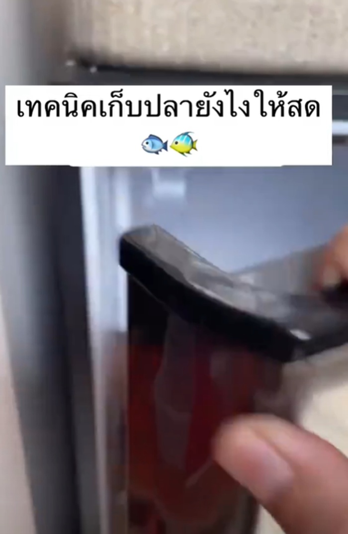 วิธีเก็บปลา