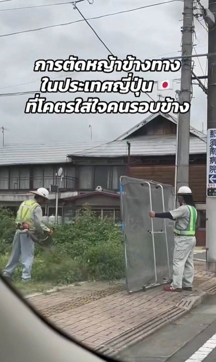 ตัดหญ้า