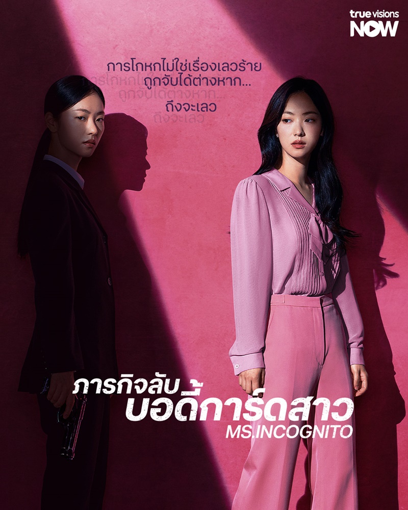 Ms. Incognito เรื่องย่อ ภารกิจลับบอดี้การ์ดสาว ซีรีส์เกาหลี