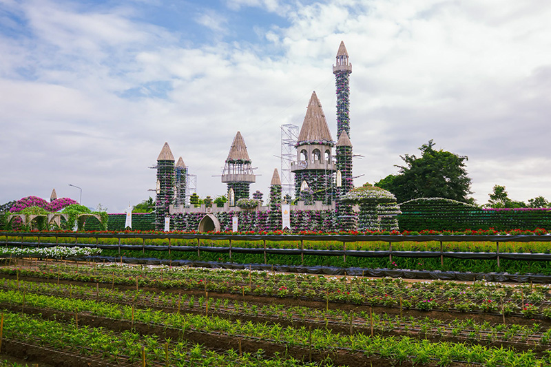 สวนเมเปิ้ล กาญจนบุรี 2569