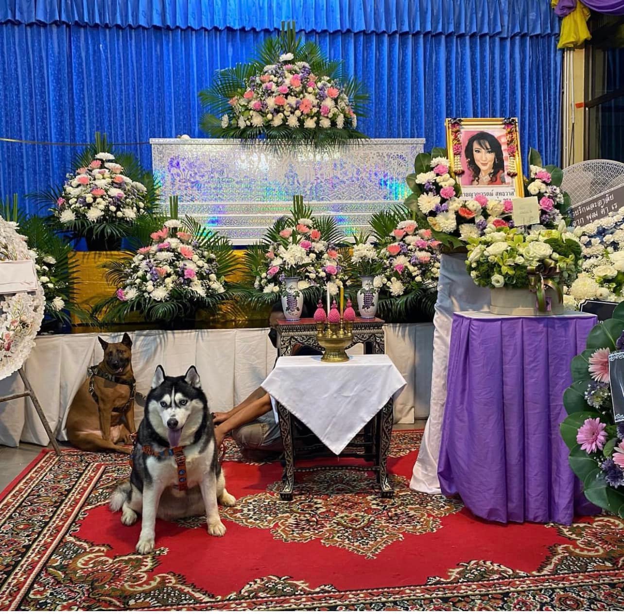 บูม หมูทะ