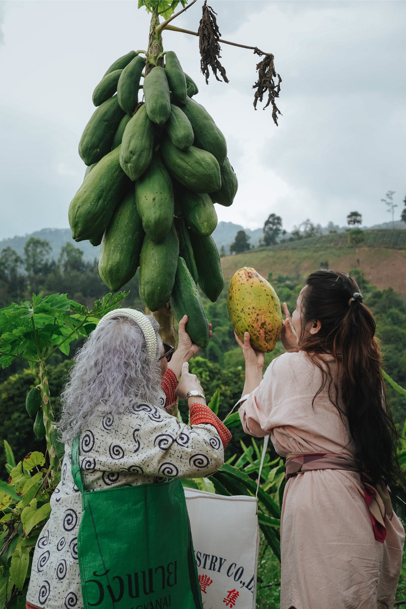 ที่เที่ยวเลย