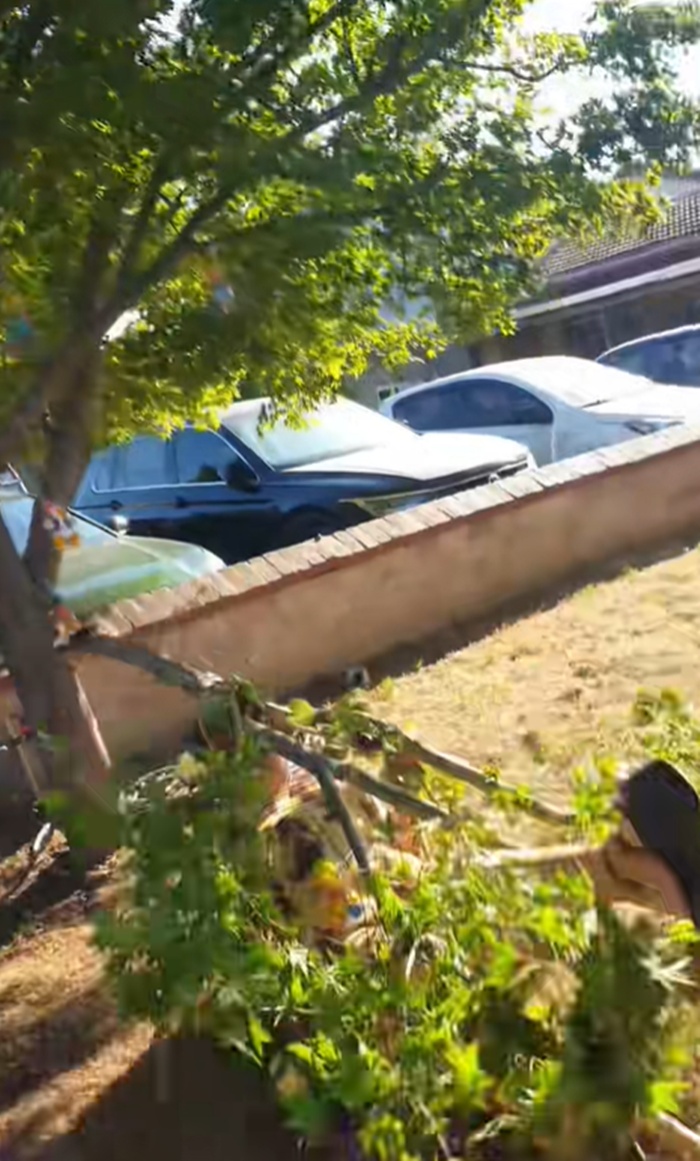 โหนชิงช้า