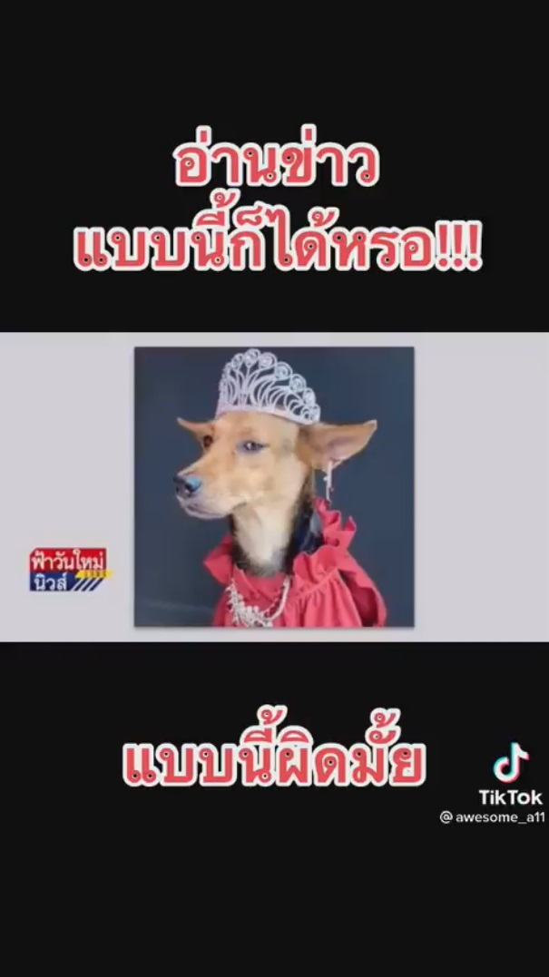 น้ำตาล ชลิตา 