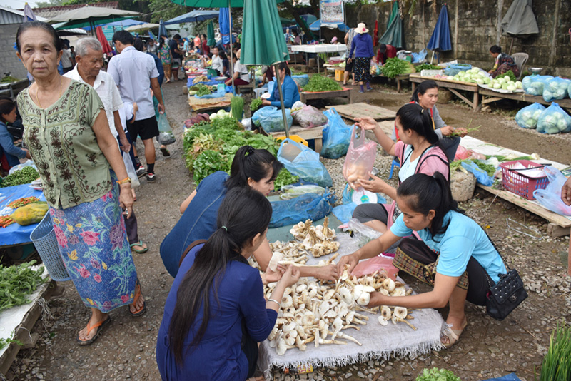 ตลาดเช้า เที่ยวลาว