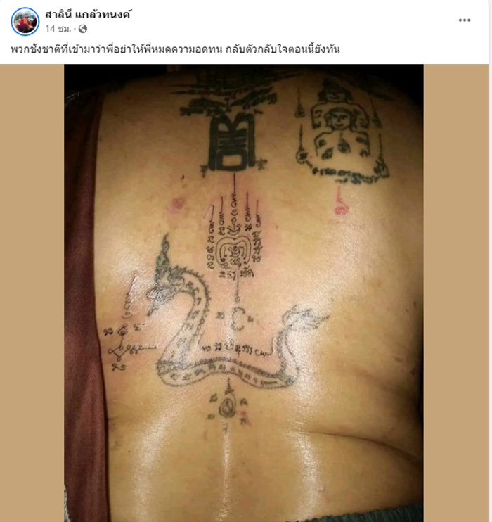 ตาหวาน ดอกกระโดน