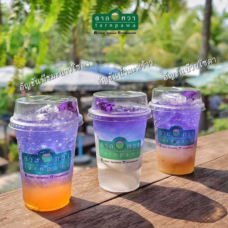 คาเฟ่สมุทรสงคราม