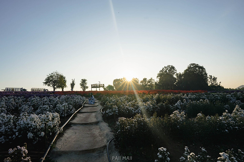Khlong Lan Flora Park สวนดอกไม้