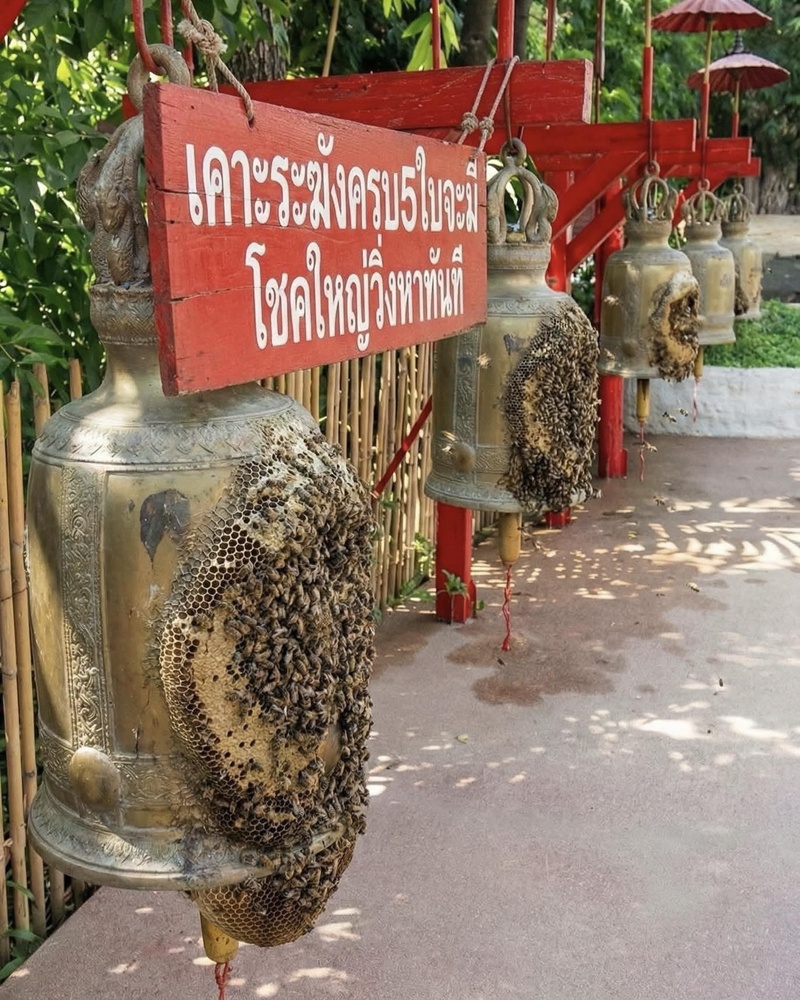 ระฆังวัด