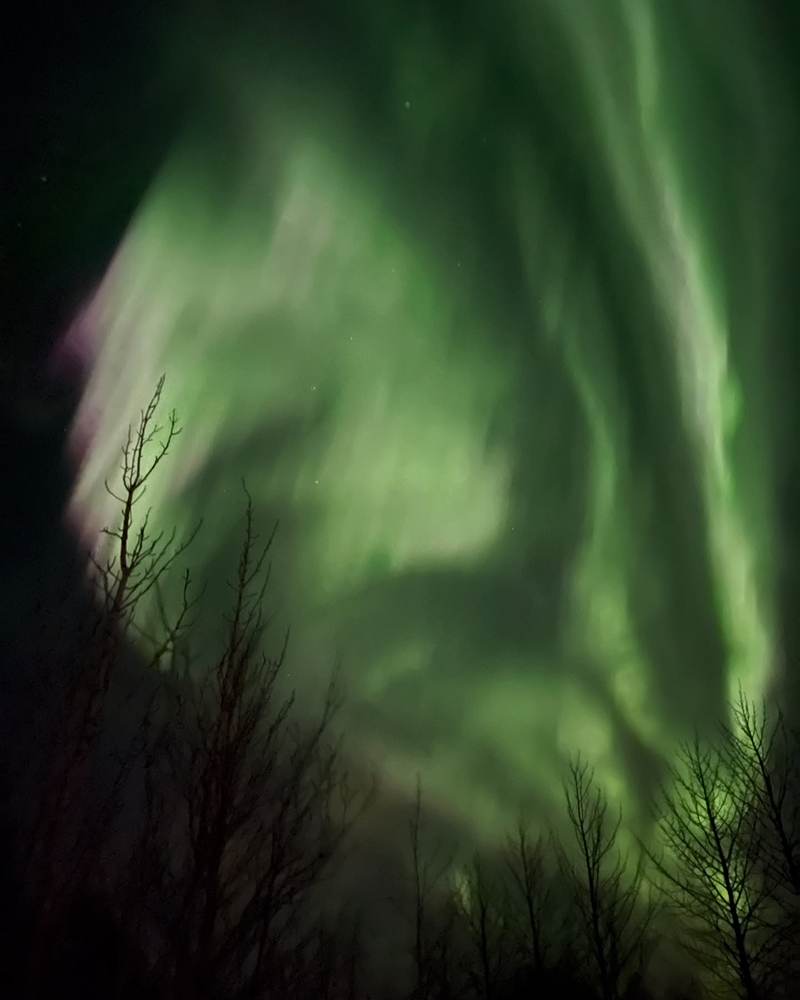 เชอรี่ เป็นพยานรัก น้องขอแต่งงานใต้แสงเหนือ