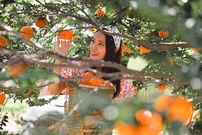 ร้านคาเฟ่สวนผลไม้