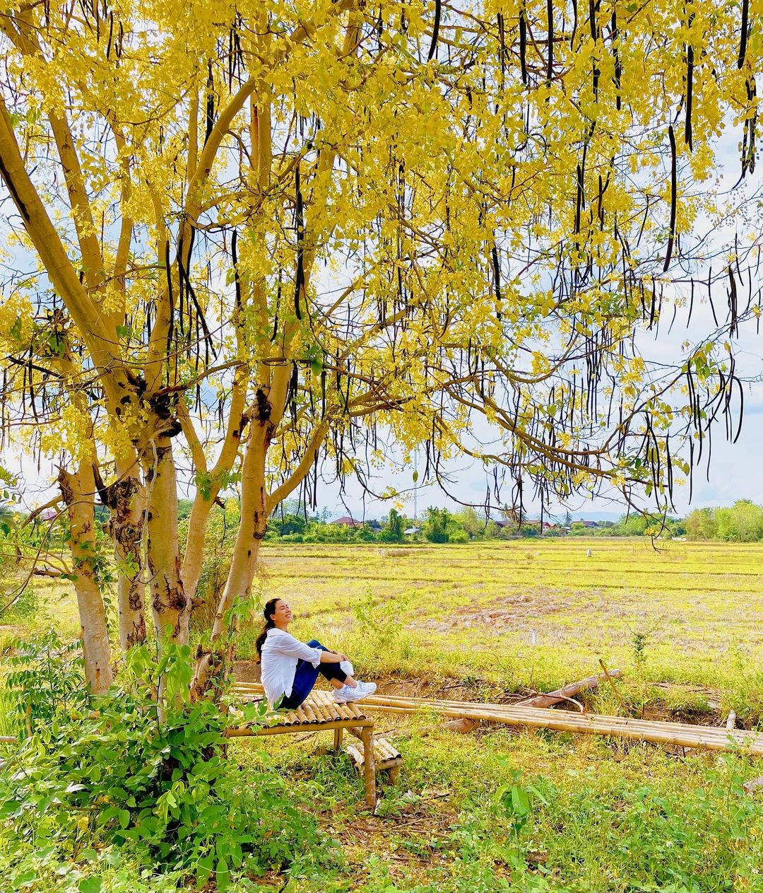 เชอรี่ เข็มอัปสร