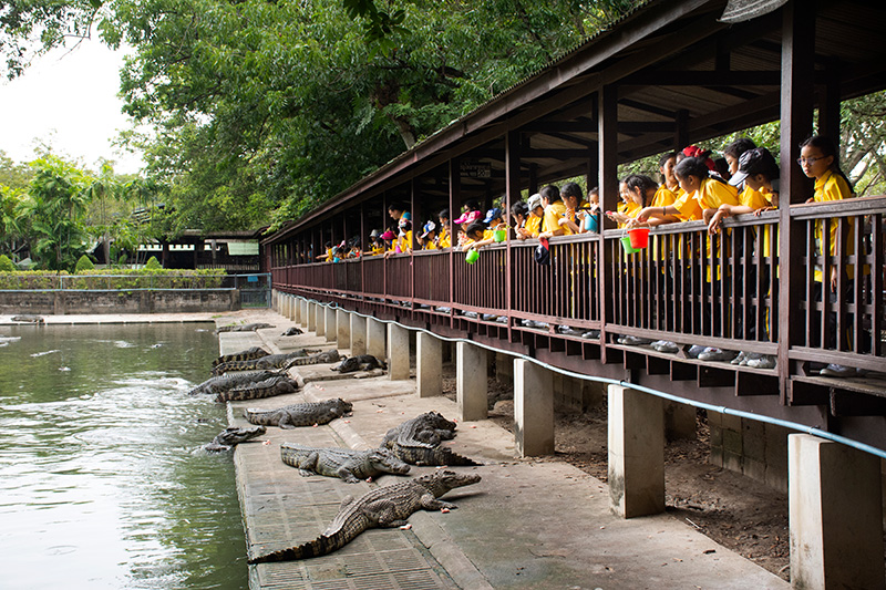ที่เที่ยวสวนสัตว์ ใกล้กรุงเทพฯ