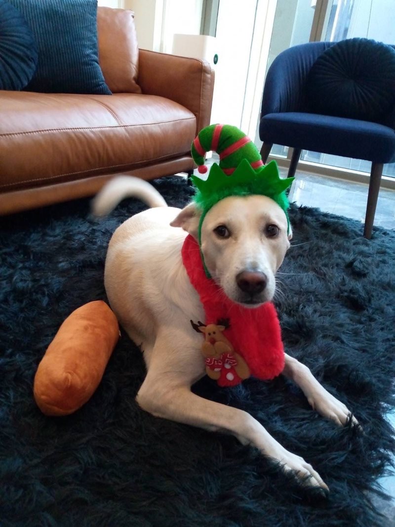 น้องดิ๊กกี้