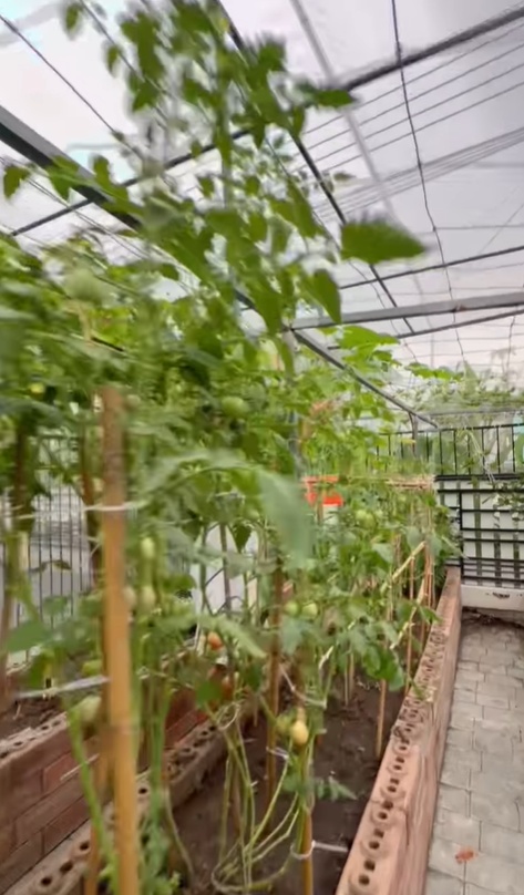 สุนารี ราชสีมา