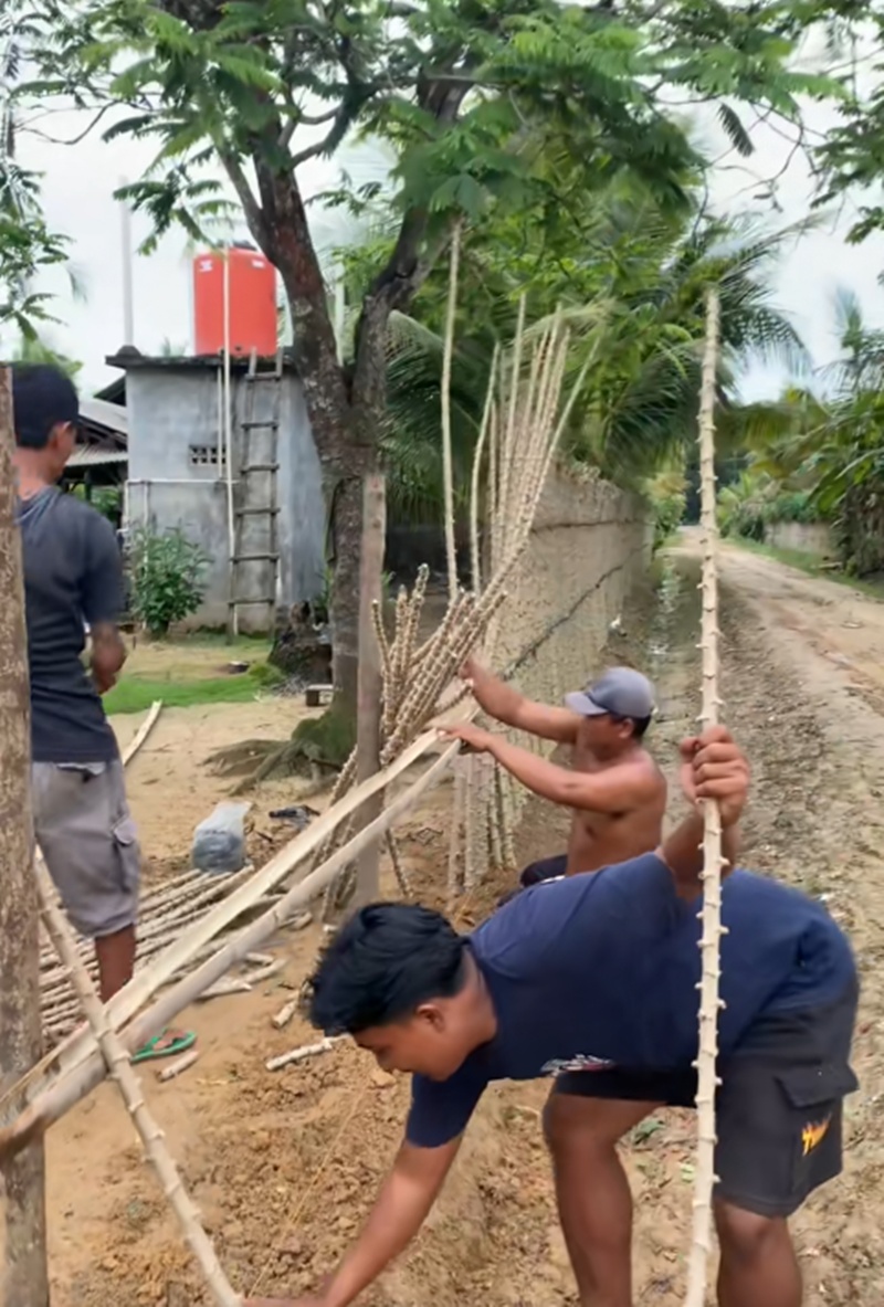 รั้วบ้าน