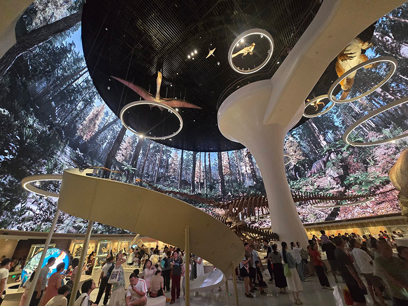 Natural History Museum Shenzhen ที่เที่ยวเซินเจิ้น