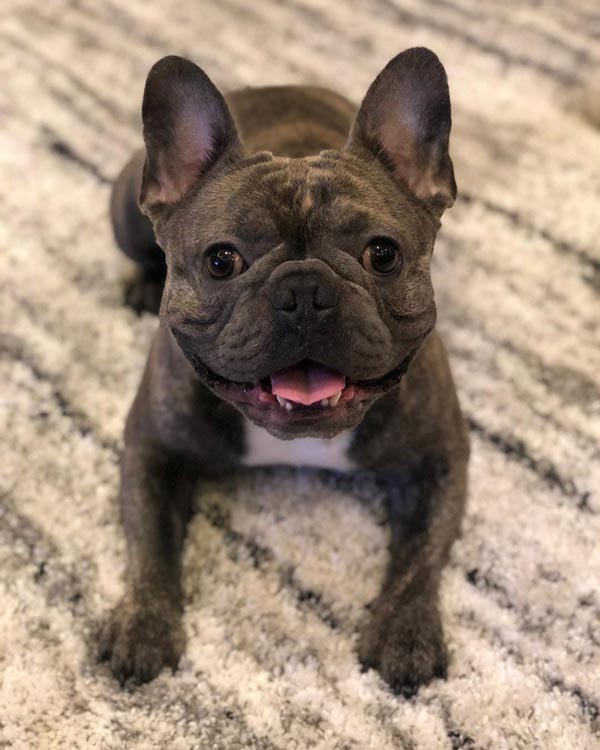 somkidthefrenchie