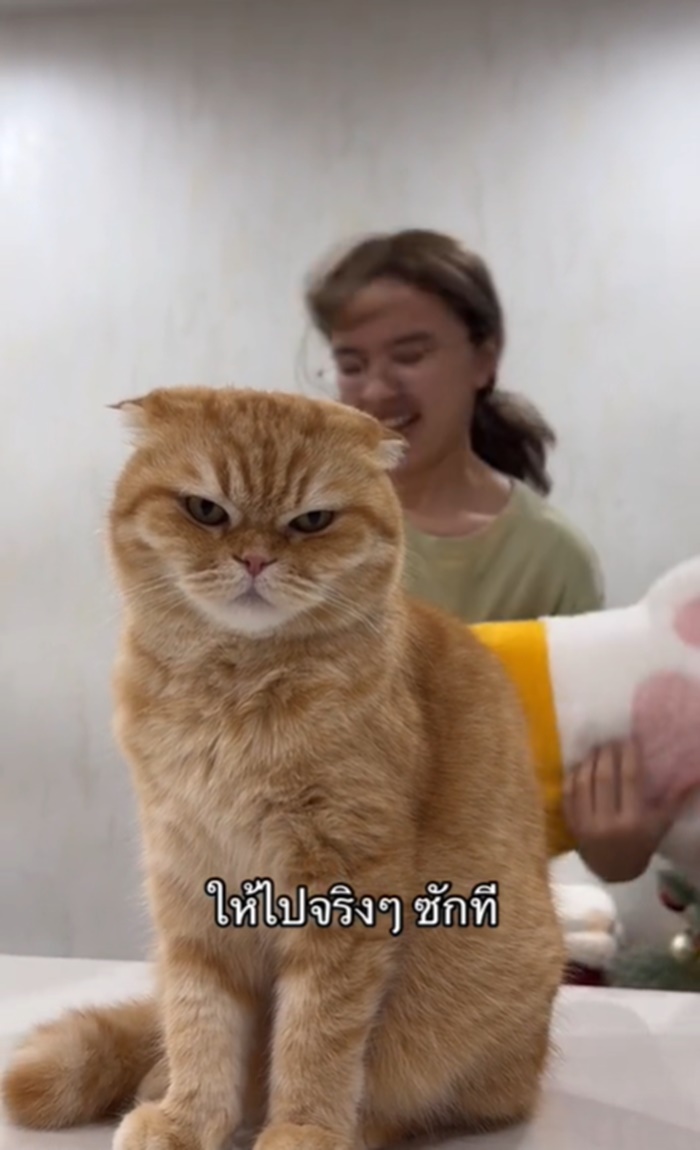 ร้องเพลง
