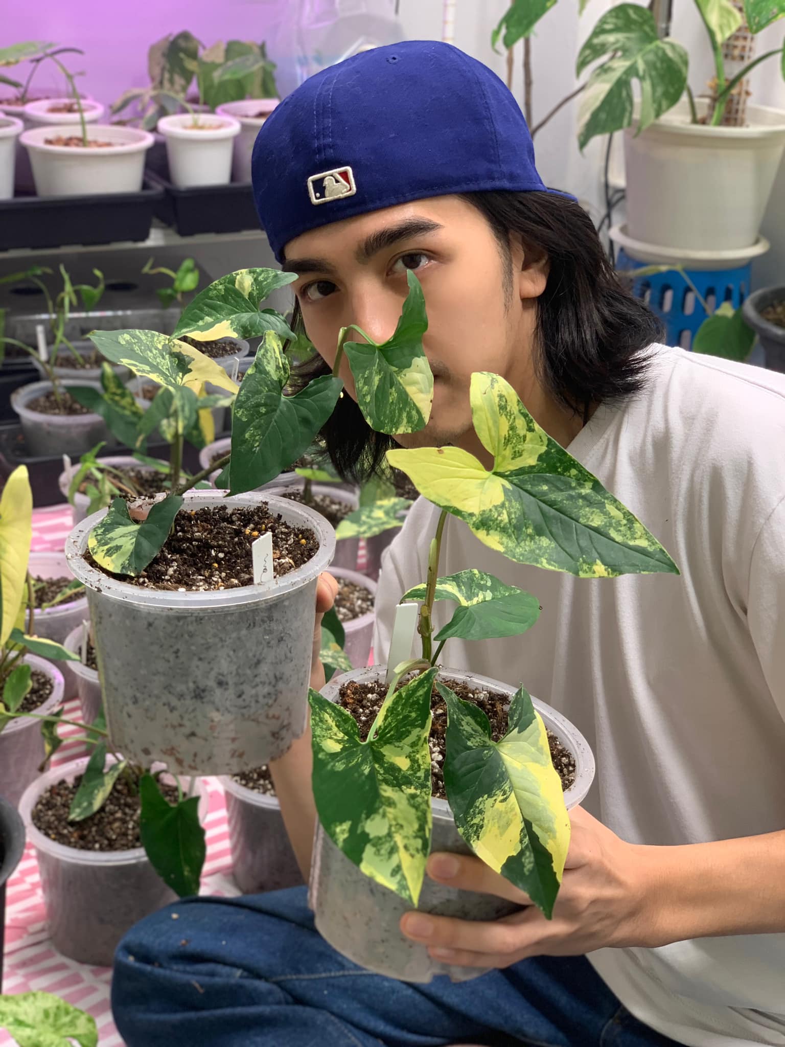 พ่อค้าหล่อ