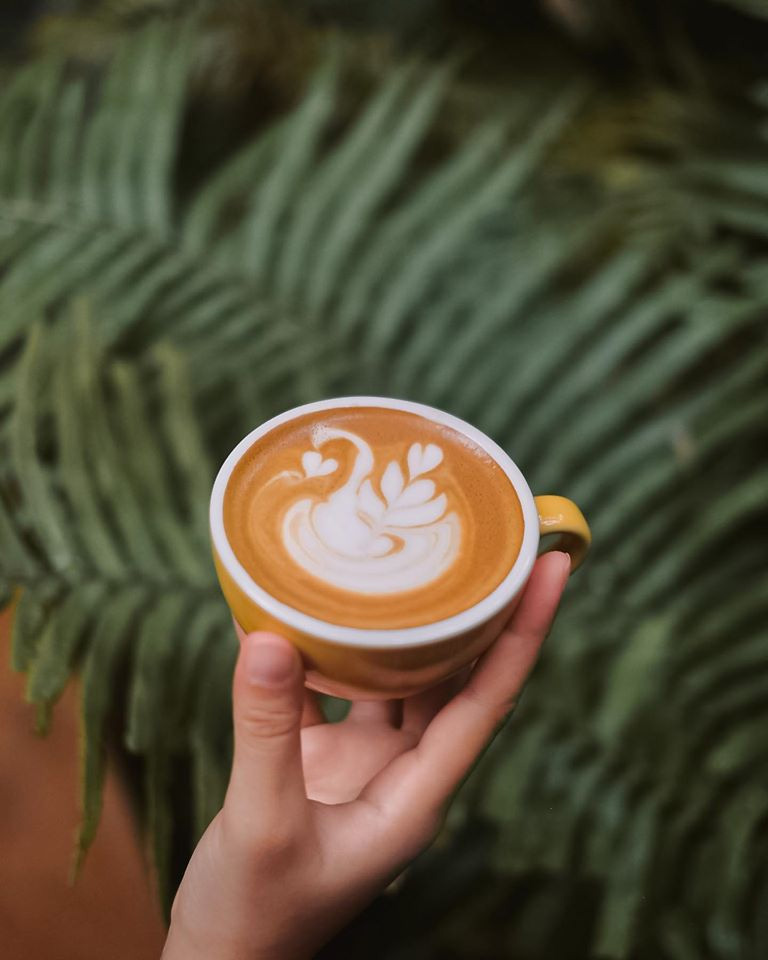 คาเฟ่ในป่า