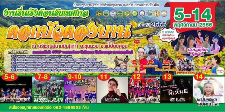 ดอกบัวตอง
