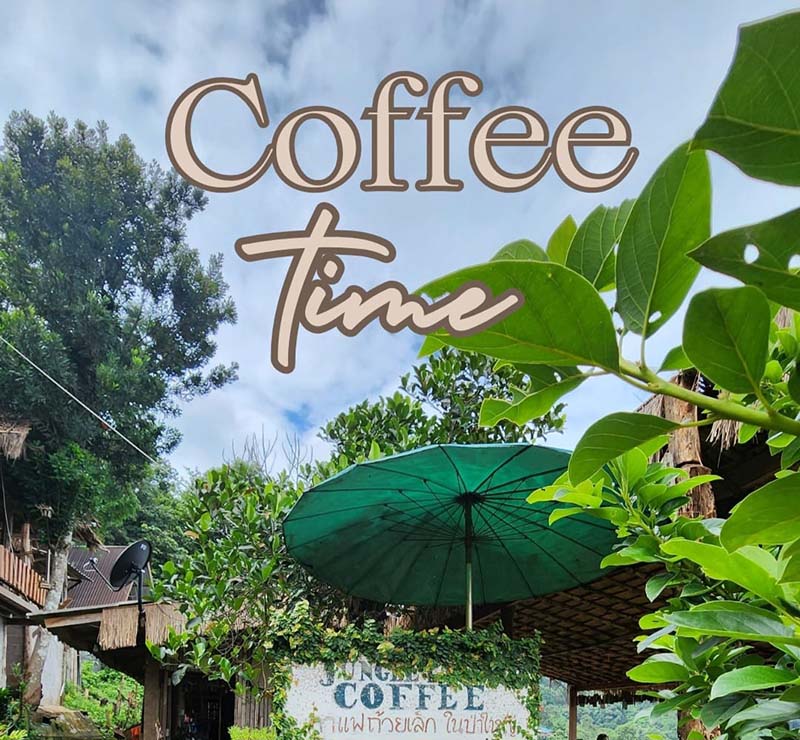 Jungle View Coffee คาเฟ่แม่แตง เชียงใหม่