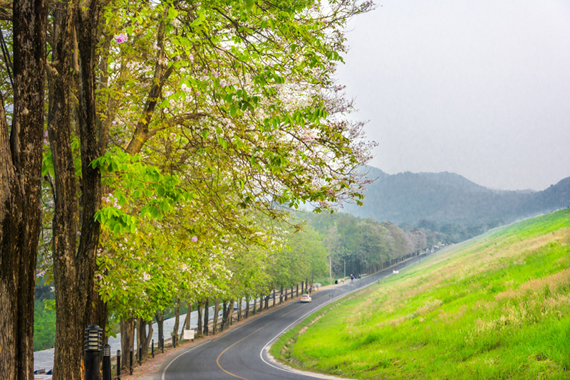 ถนนริมอ่างเก็บน้ำบางพระ จังหวัดชลบุรี