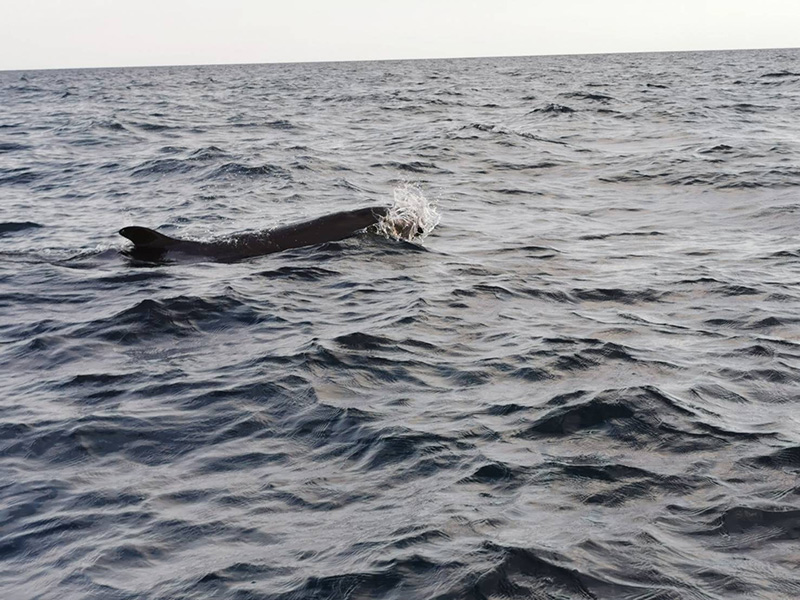 ที่เที่ยวทะเล