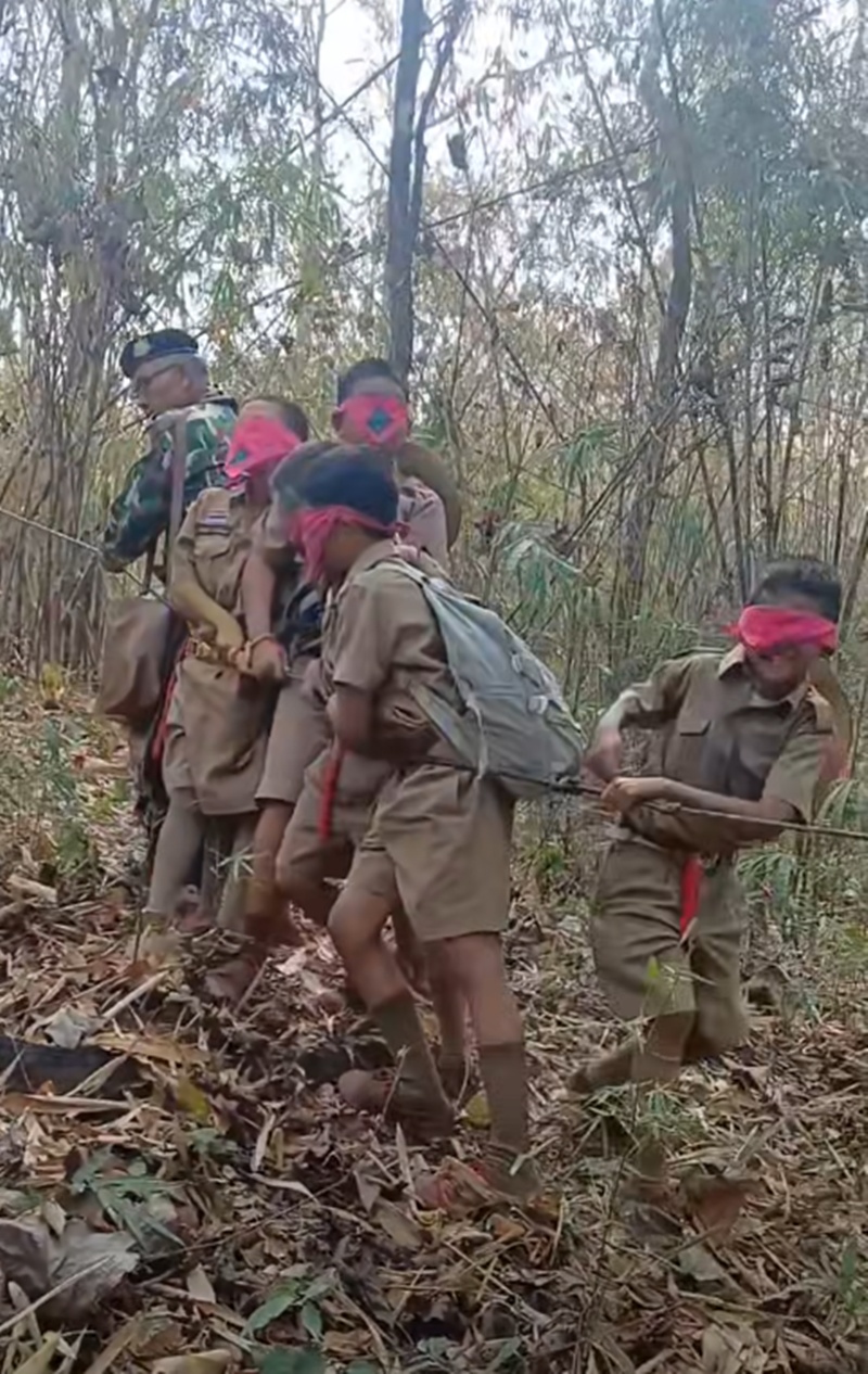 เดินป่า