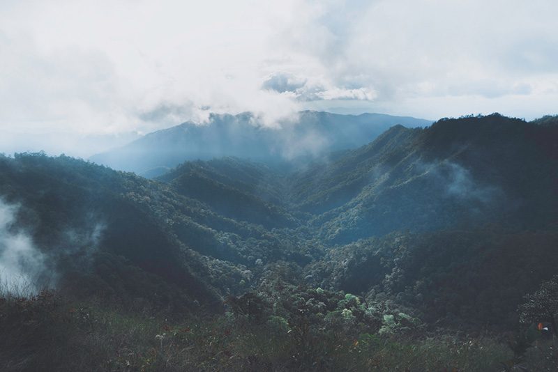 ที่เที่ยวเดือนมิถุนายน 2568 อุทยานแห่งชาติขุนแจ จังหวัดเชียงราย