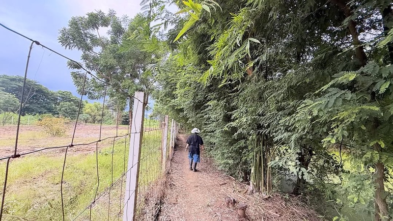 ฮาย อาภาพร