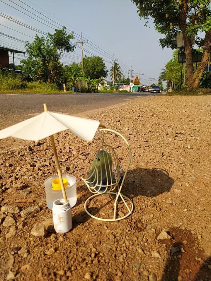 วันสงกรานต์