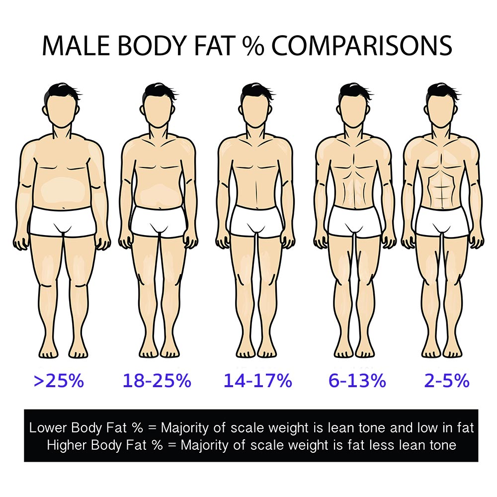 body fat