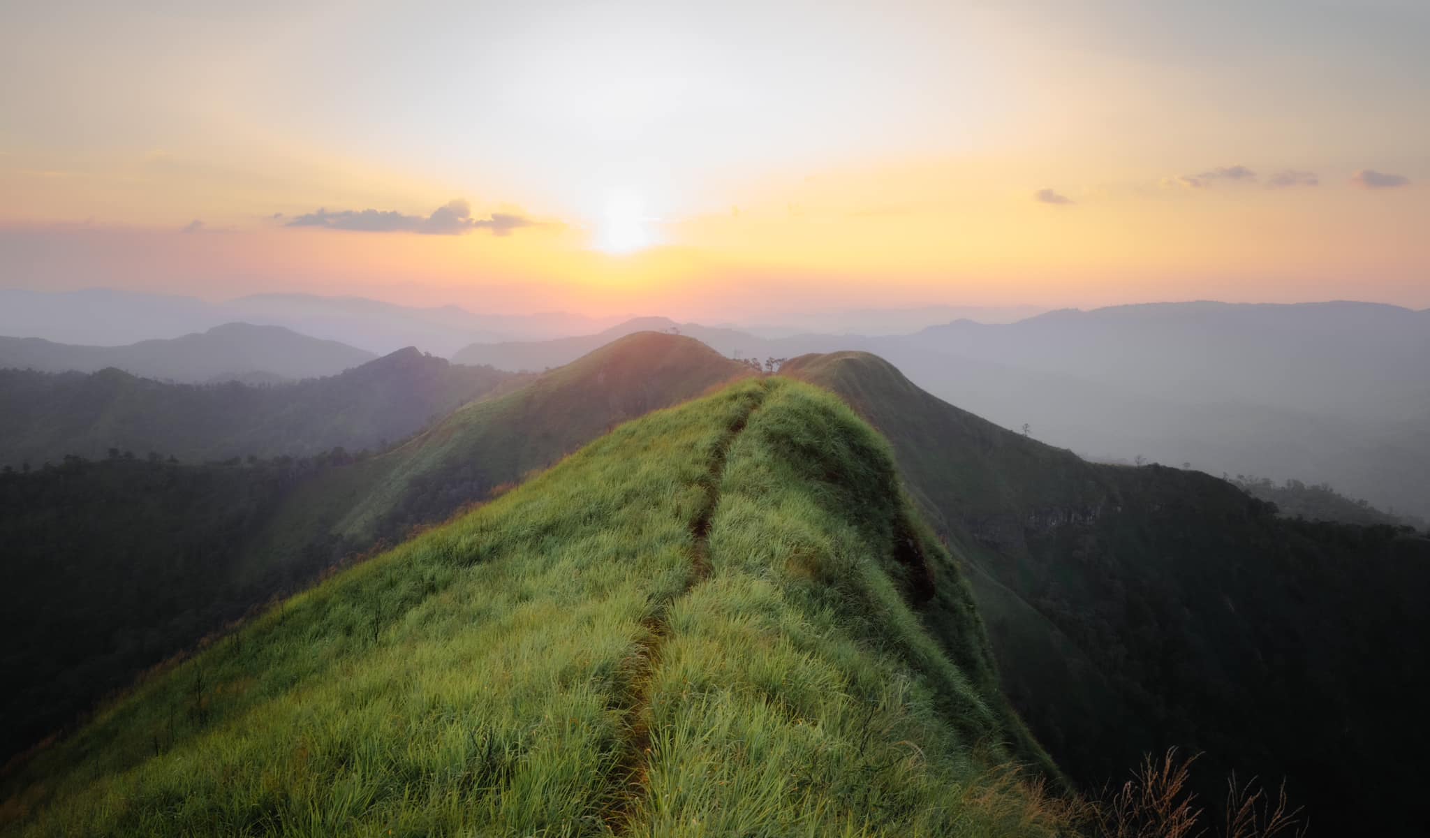 เขาช้างเผือก