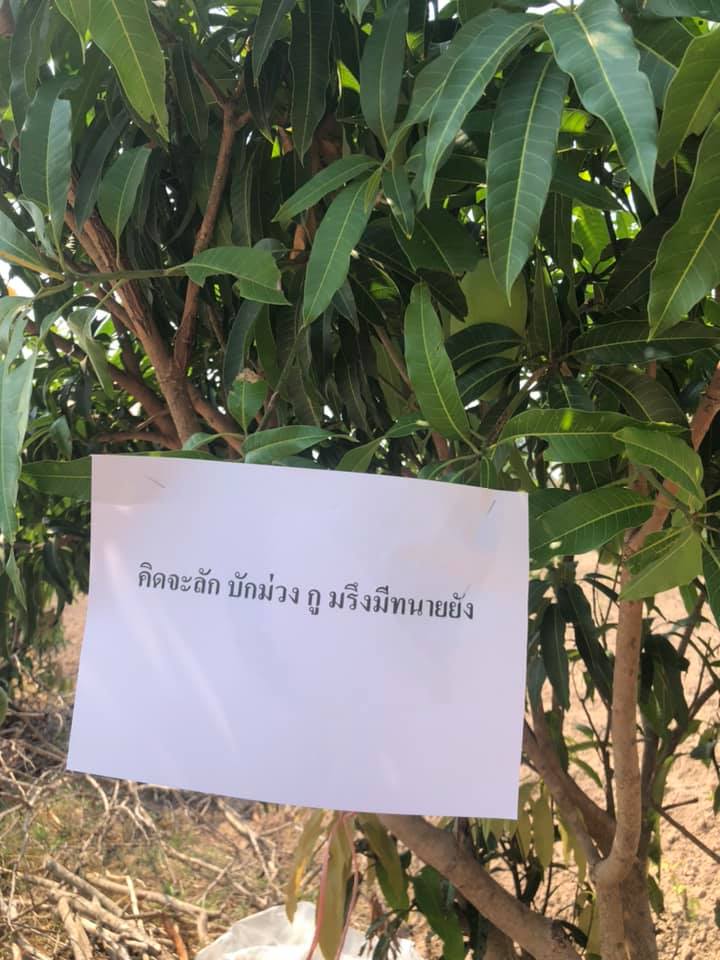 ป้ายเตือนขโมย