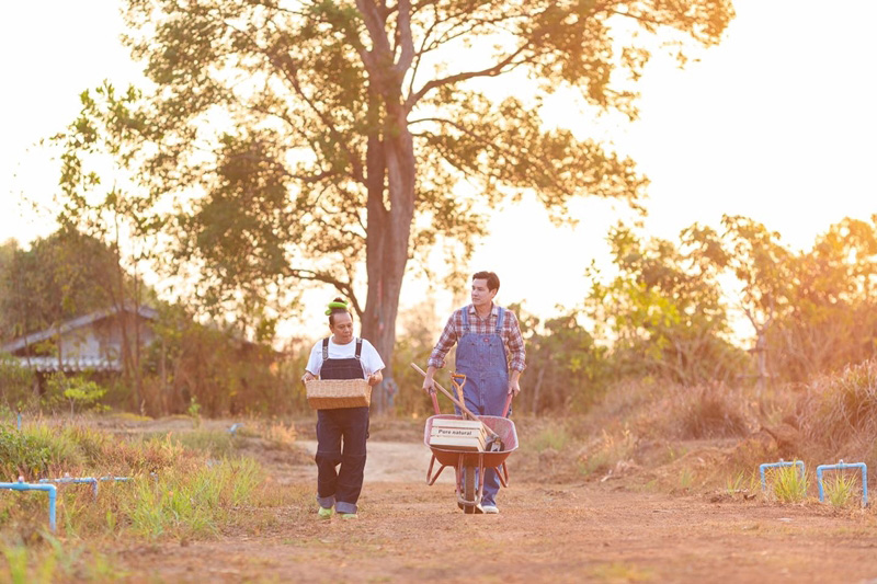 เสนาหอย - วิลลี่ แมคอินทอช