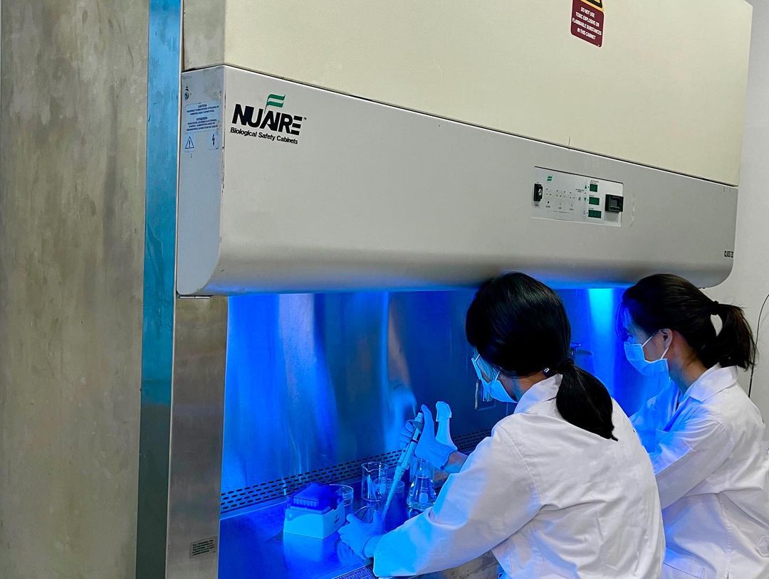 ปอย ตรีชฎา