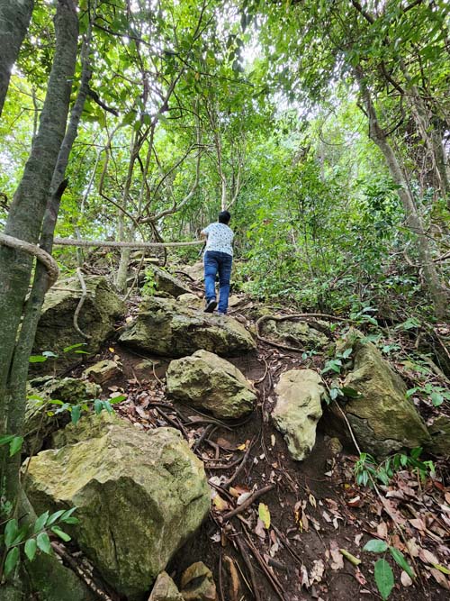 ที่เที่ยวชุมพร  